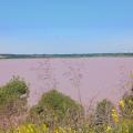 Etang stmitre